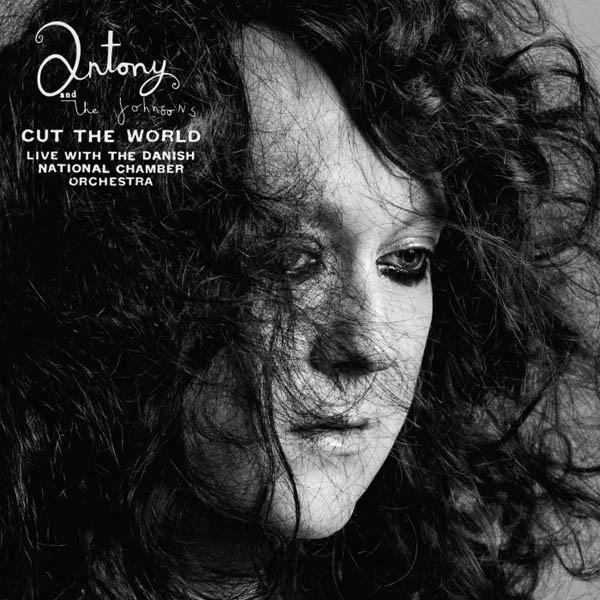 Antony & The Johnsons 'Cut The World' MP3